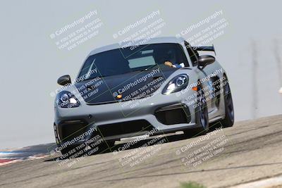 media/Jul-26-2025-Speed Ventures (Sat) [[fe569e6cf0]]/Black Group/Grapvine/